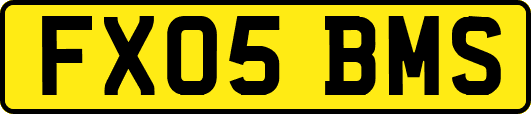 FX05BMS
