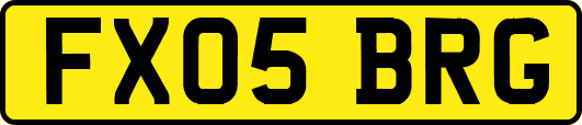 FX05BRG
