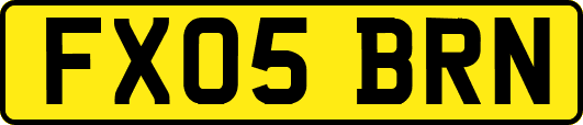 FX05BRN