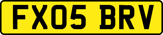 FX05BRV