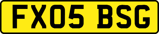 FX05BSG