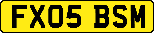 FX05BSM