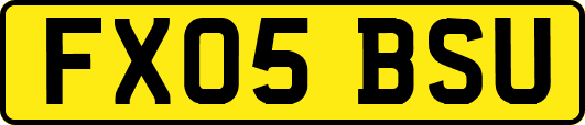 FX05BSU