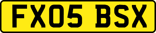 FX05BSX