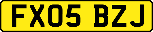 FX05BZJ