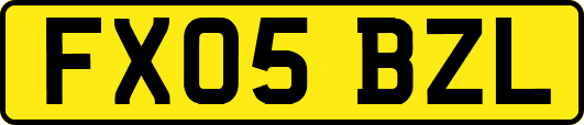FX05BZL