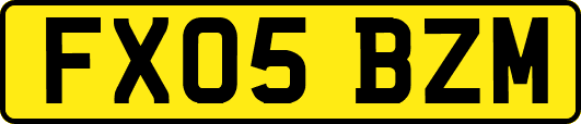 FX05BZM