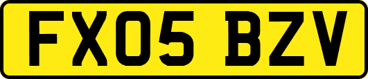 FX05BZV