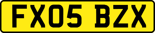 FX05BZX