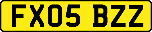 FX05BZZ