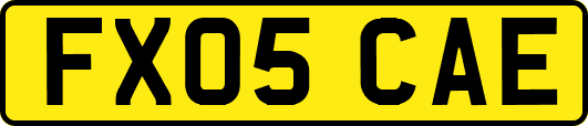 FX05CAE