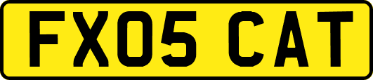 FX05CAT
