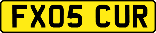 FX05CUR