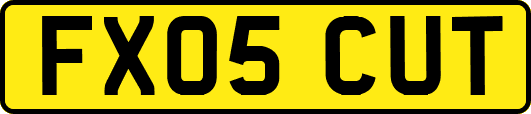 FX05CUT