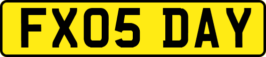FX05DAY