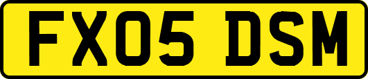 FX05DSM