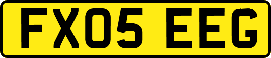 FX05EEG