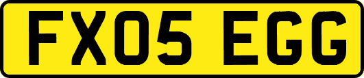 FX05EGG