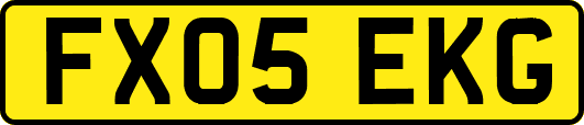 FX05EKG