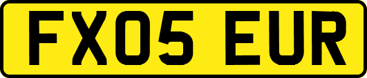 FX05EUR