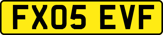 FX05EVF