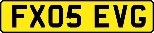 FX05EVG