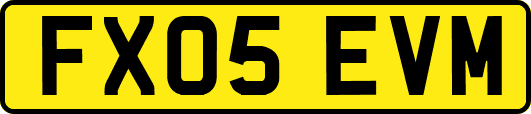 FX05EVM