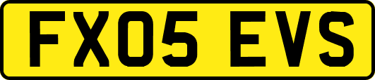 FX05EVS