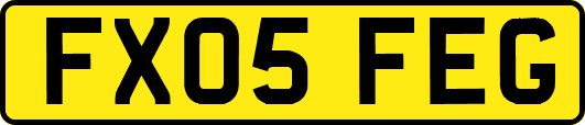 FX05FEG