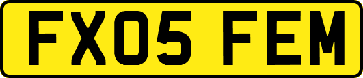 FX05FEM