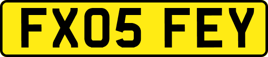 FX05FEY