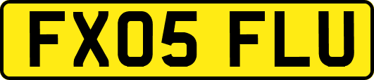 FX05FLU