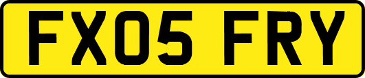 FX05FRY