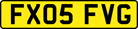 FX05FVG