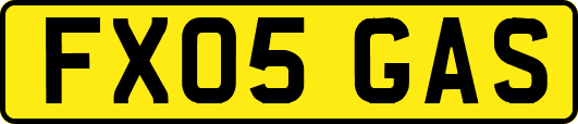 FX05GAS