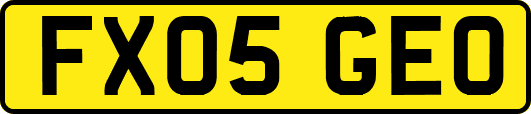 FX05GEO
