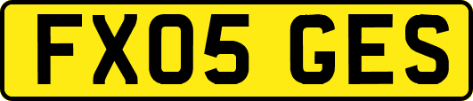 FX05GES