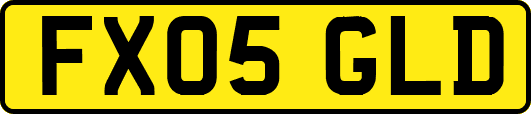 FX05GLD