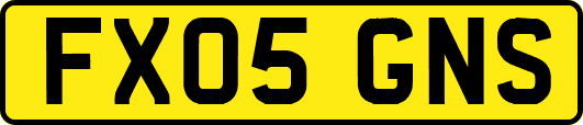 FX05GNS