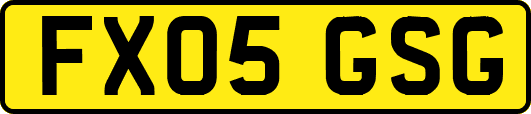 FX05GSG