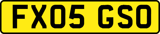 FX05GSO