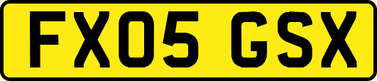 FX05GSX