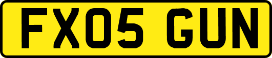 FX05GUN