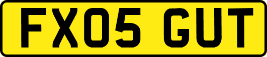 FX05GUT