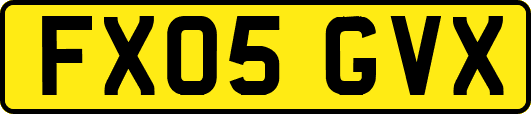 FX05GVX