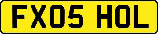 FX05HOL