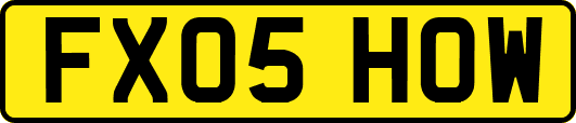 FX05HOW