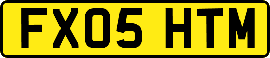 FX05HTM