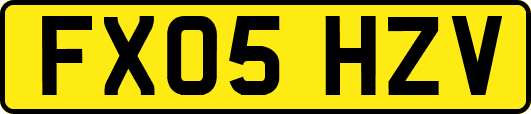 FX05HZV