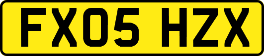 FX05HZX